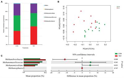 Steam Explosion Pretreatment Changes Ruminal Fermentation in vitro of Corn Stover by Shifting Archaeal and Bacterial Community Structure